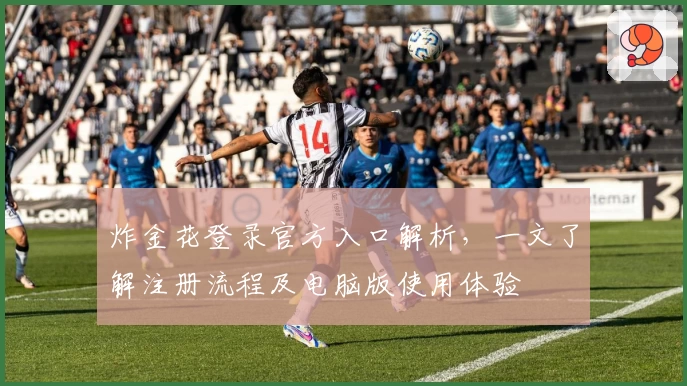 炸金花登录官方入口解析，一文了解注册流程及电脑版使用体验