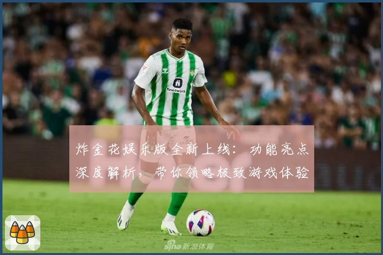 炸金花娱乐版全新上线：功能亮点深度解析，带你领略极致游戏体验