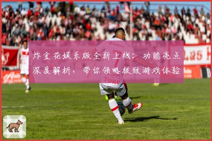 炸金花娱乐版全新上线：功能亮点深度解析，带你领略极致游戏体验