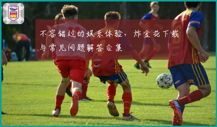 不容错过的娱乐体验,炸金花下载与常见问题解答合集