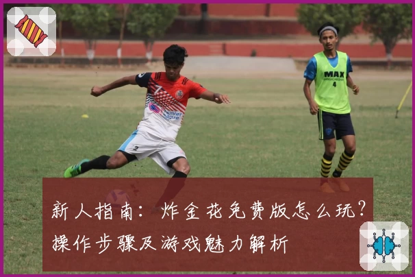 新人指南:炸金花免费版怎么玩?操作步骤及游戏魅力解析