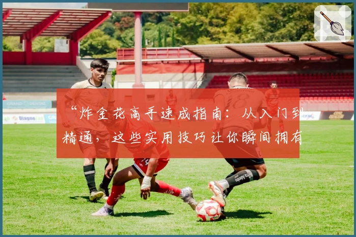 “炸金花高手速成指南：从入门到精通，这些实用技巧让你瞬间拥有赢家思维”