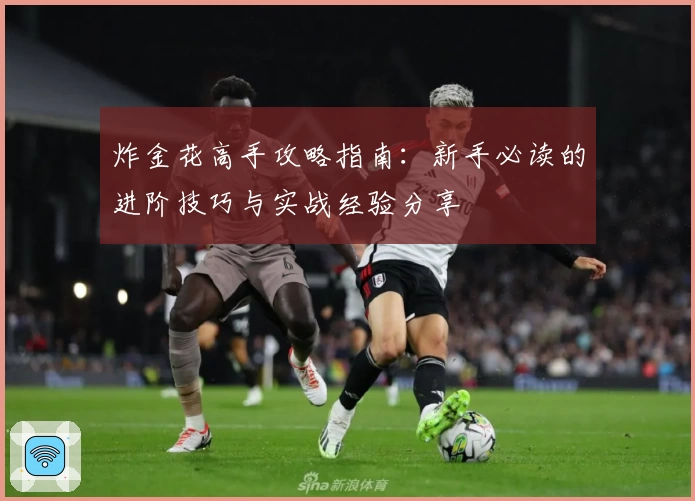 炸金花高手攻略指南:新手必读的进阶技巧与实战经验分享