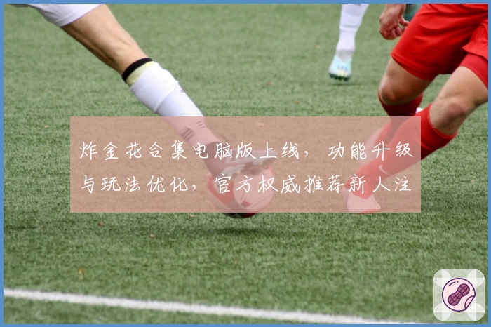 炸金花合集电脑版上线,功能升级与玩法优化,官方权威推荐新人注册教程详解