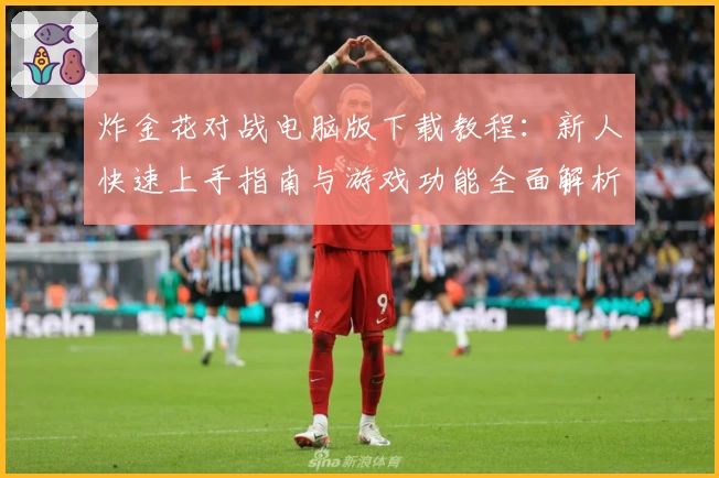 炸金花对战电脑版下载教程:新人快速上手指南与游戏功能全面解析