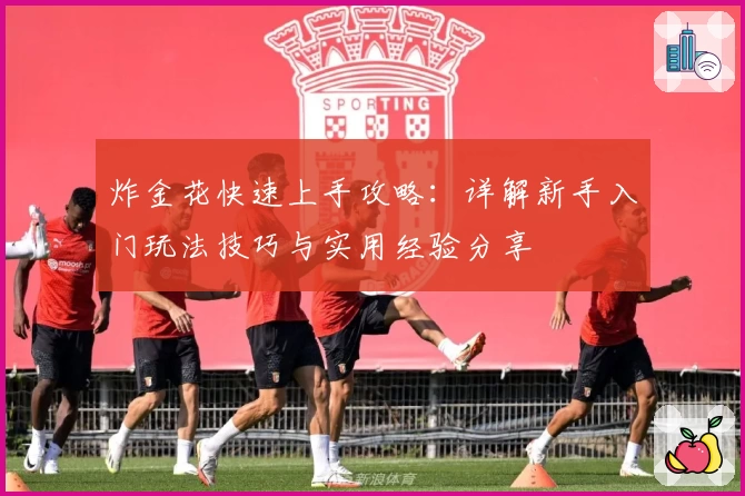 炸金花快速上手攻略：详解新手入门玩法技巧与实用经验分享